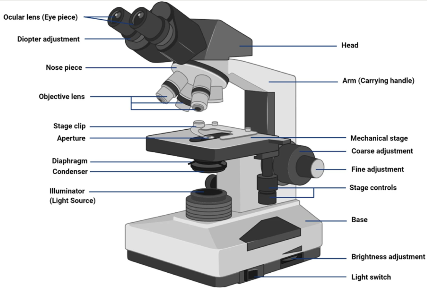 Virtual Labs